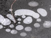 Gruppe ovaler und runder Lufteinschlüsse in Eisdecke am Bärnseebach